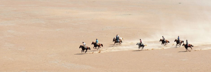 Damaraland & Skeleton Coast