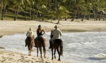 Sulle Spiagge di Bahia