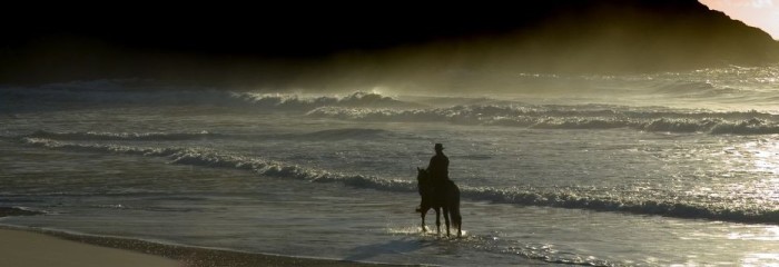 Sulle Spiagge di Bahia