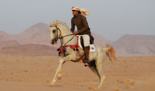 Sulle orme di Lawrence D’Arabia
