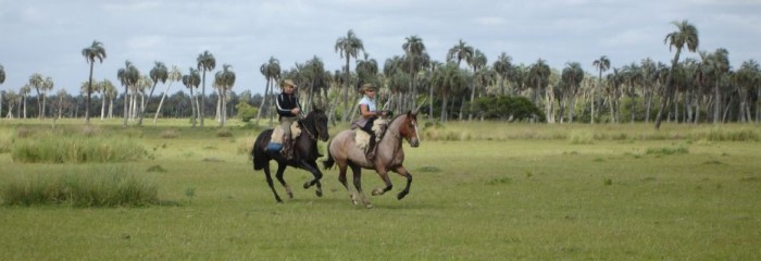 Terra dei Gauchos