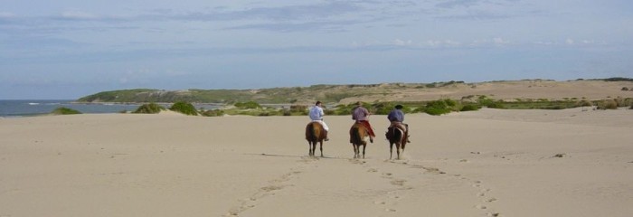 Terra dei Gauchos