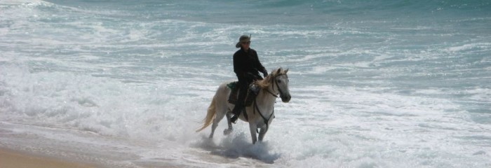 alentejo beach.php