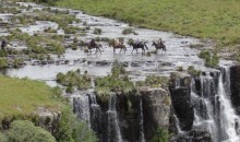 Rio Grande do Sul