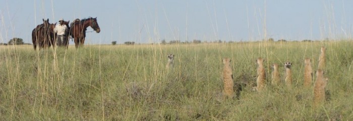 Makgadikgadi Pans