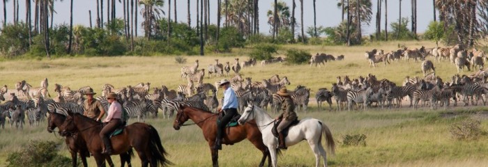 Makgadikgadi Pans