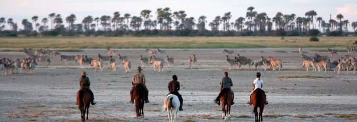 Makgadikgadi Pans