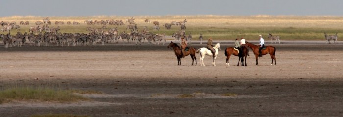 Makgadikgadi Pans