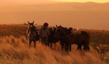 Estancia Los Potreros