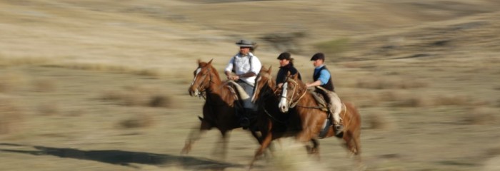 Estancia Los Potreros