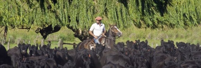 Estancia Los Potreros