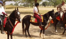 Shekhawati Rides