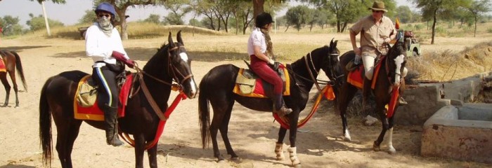 Shekhawati Rides