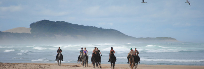 Wild Coast Horse Trai