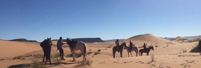 Horses, Dunes & Nomads