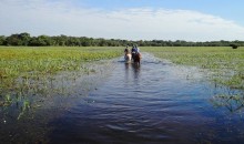 Pantanal