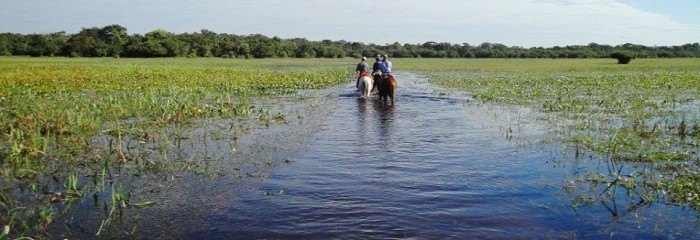 Pantanal