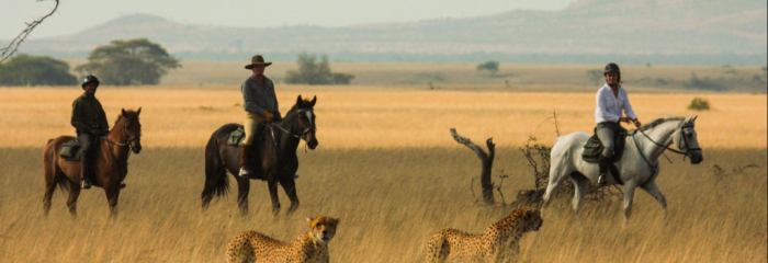 Ol Donyo Lodge