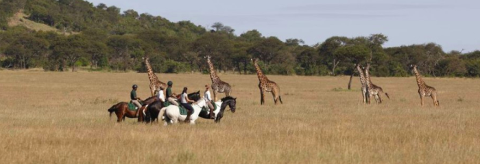 La Grande Migrazione del Serengeti