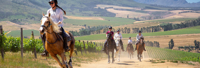 Cape Winelands